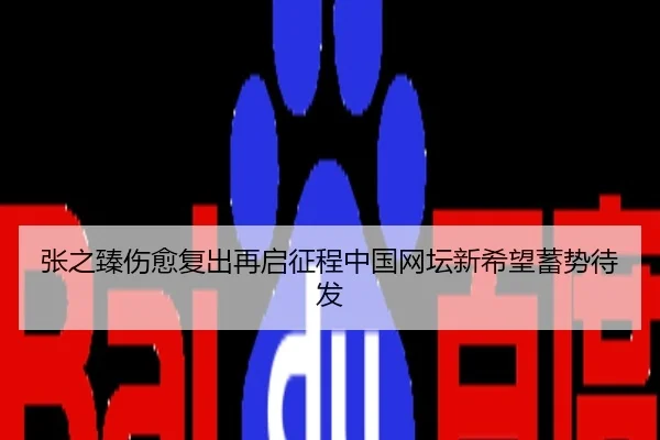 张之臻伤愈复出再启征程中国网坛新希望蓄势待发