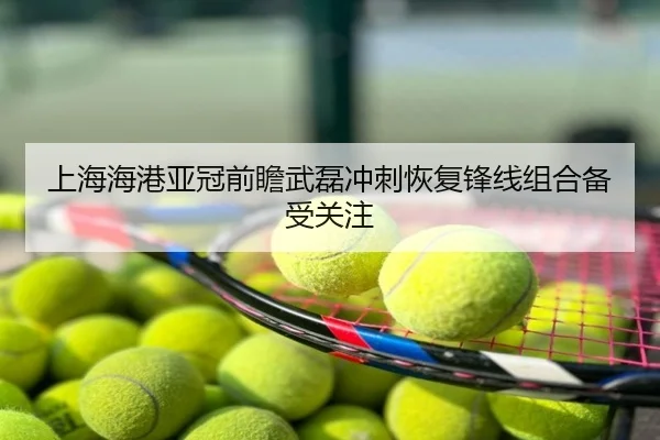 上海海港亚冠前瞻武磊冲刺恢复锋线组合备受关注
